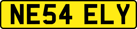 NE54ELY