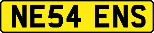 NE54ENS