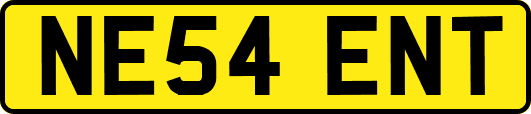 NE54ENT