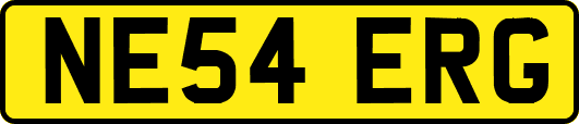 NE54ERG