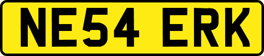 NE54ERK