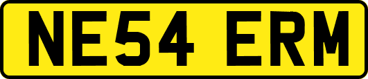 NE54ERM