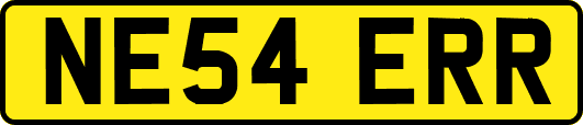 NE54ERR