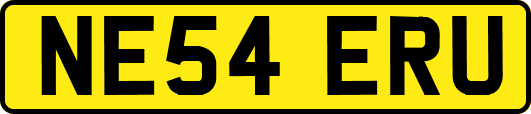 NE54ERU