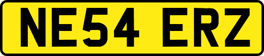 NE54ERZ