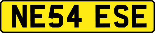 NE54ESE