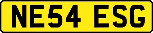 NE54ESG