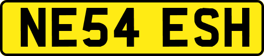 NE54ESH