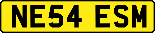 NE54ESM