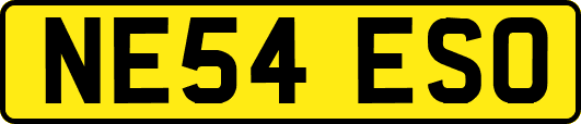 NE54ESO