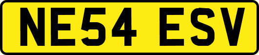 NE54ESV