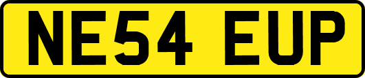 NE54EUP