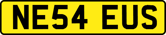 NE54EUS