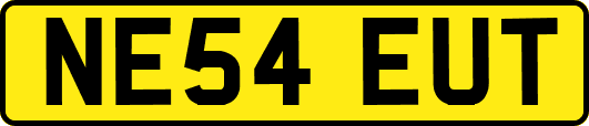 NE54EUT