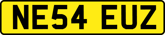 NE54EUZ