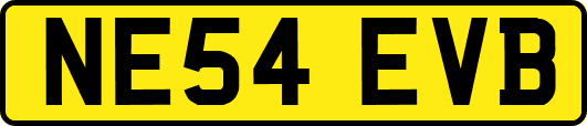NE54EVB