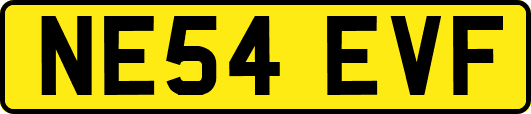 NE54EVF