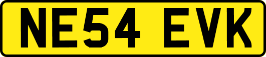NE54EVK