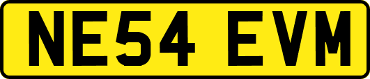 NE54EVM