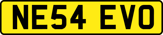 NE54EVO