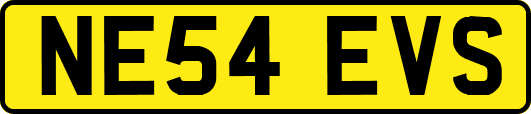 NE54EVS