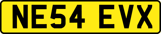 NE54EVX