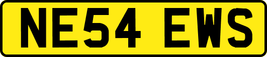 NE54EWS