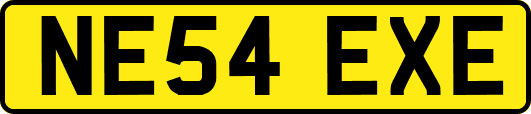NE54EXE