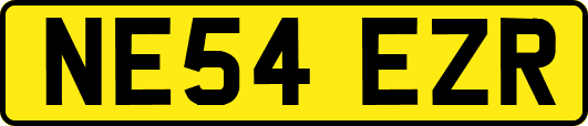 NE54EZR