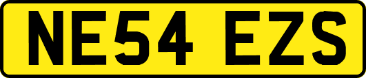NE54EZS