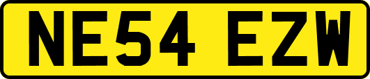 NE54EZW