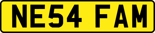 NE54FAM