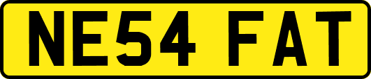 NE54FAT