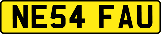 NE54FAU