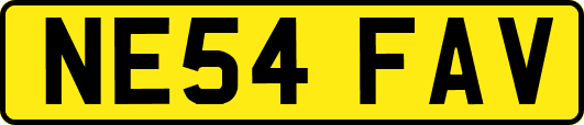 NE54FAV