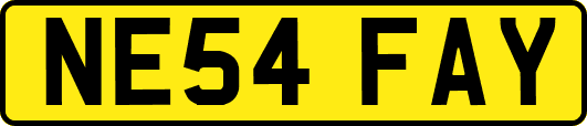 NE54FAY