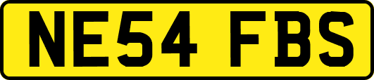 NE54FBS
