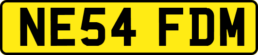 NE54FDM