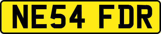 NE54FDR