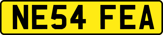 NE54FEA