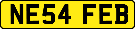 NE54FEB