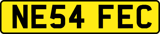 NE54FEC