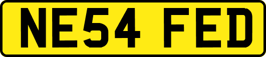 NE54FED