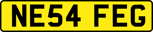 NE54FEG