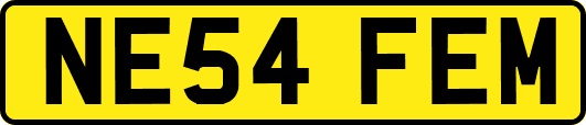 NE54FEM
