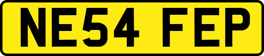 NE54FEP