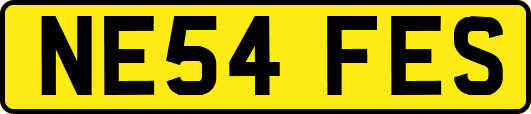 NE54FES