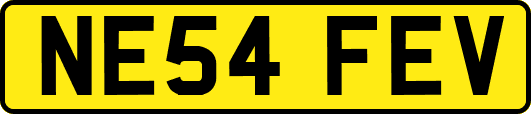 NE54FEV