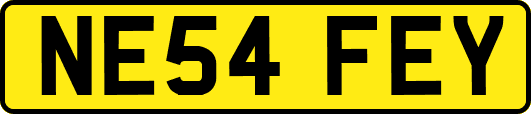 NE54FEY
