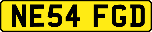 NE54FGD